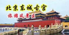 美女抠逼视频中国北京-东城古宫旅游风景区
